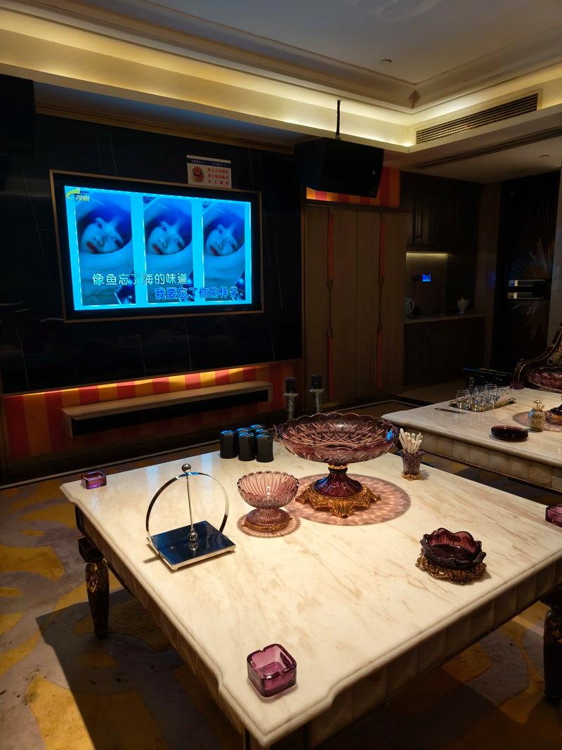 乐山商务ktv推荐商务ktv有哪些选择-金口河区ktv预订